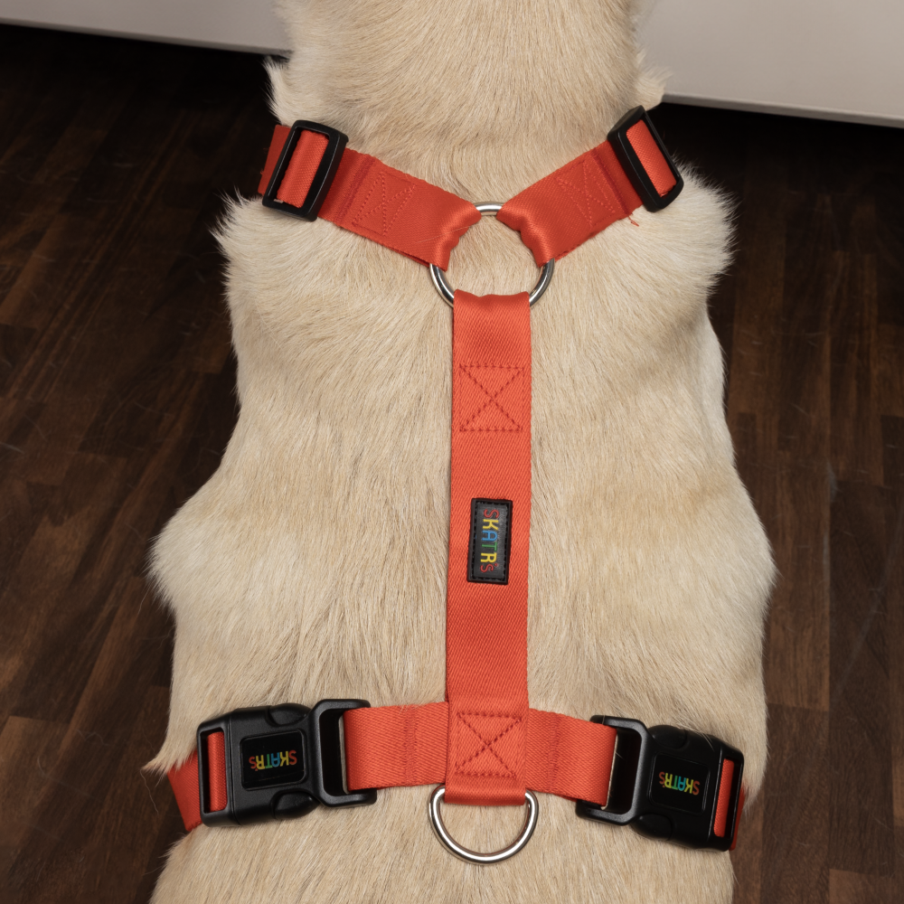 Skatrs Premium H Harness for Dogs Coral Red