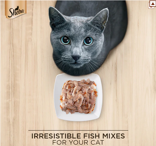 Sheba Fish with Dry Bonito Flake Skipjack  Salmon Fish and Fish with Sasami Cat Wet Food Combo