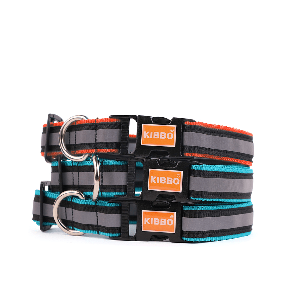 Kibbo Premium Nylon Collar with Buckle and D Ring For Dogs Sea Green RedPack of 3