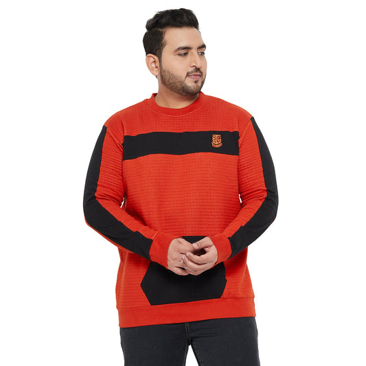Men Plus Size Shell Colorblock Sweatshirt