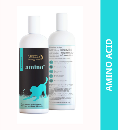 Venttura Amino Plus Syrup for Dogs