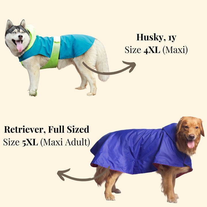 Pet Set Go Dual Colour Cape Style Raincoat for Dogs Pink