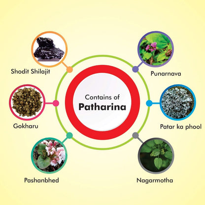 Baidyanath Pathrina - 50 Tablets Pack of 2