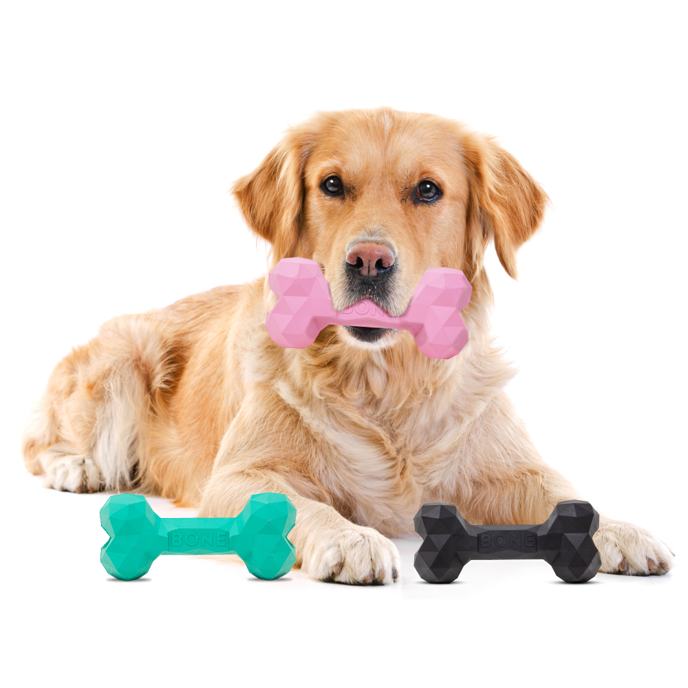 Barkbutler Chu the bone Treat Dispensing Toy for Dogs Green