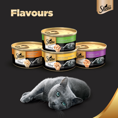 Sheba Pure Tuna Filets in Jelly Premium Cat Wet Food