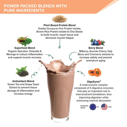 Wellbeing Nutrition Plant Protein 500gm  15 Serving  Dark Chocolate Hazelnut  22g Protein  Muscle Growth  Repair