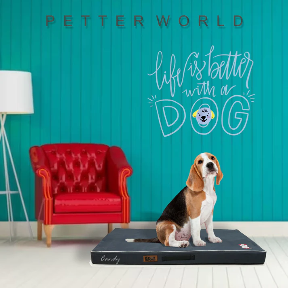 Petter World Comfort Flat Foam Bed for Dogs Autumn Grey