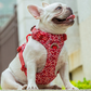 Truelove Floral No Pull Pet Harness for Dogs Poppy Red