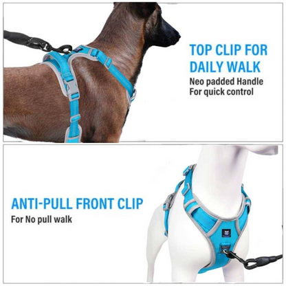 Hank 3M Reflective Harness for Puller Dogs GreyCyan Blue