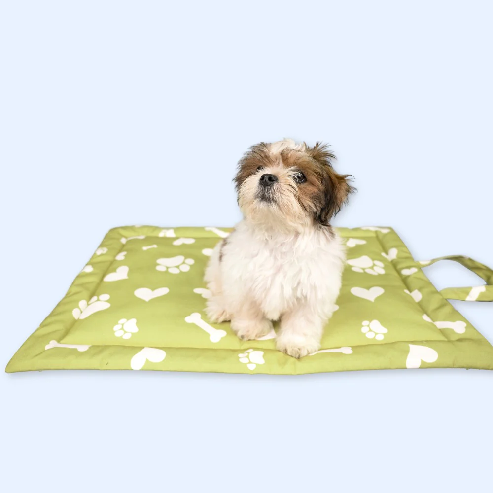 Pet Set Go Paw and Bones Heaven Mat for Dogs and Cats Green