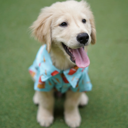 Pawgypets Fries Over Guys Shirt for Dogs Blue