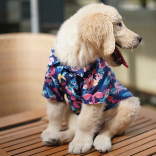 Pawgypets Hawaiian Flamingo Shirt for Dogs Navy Blue