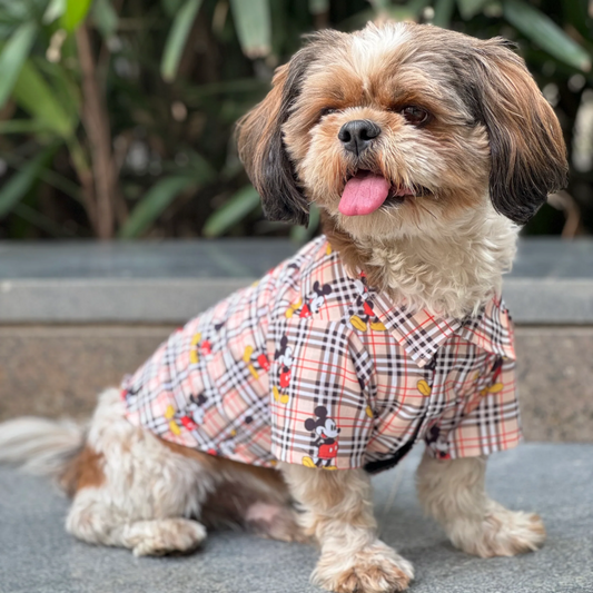 Pawgypets Mickey Check Shirt for Dogs Beige