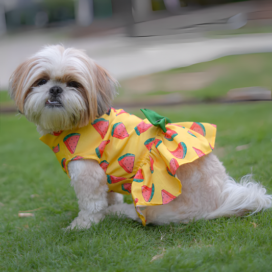 Pawgypets Watermelon Surgar Dress for Dogs Yellow