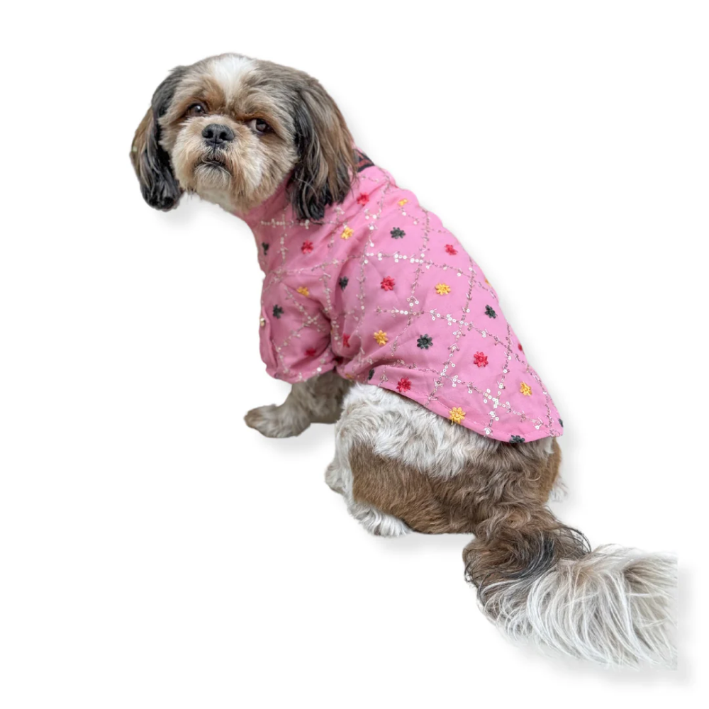 Pawgypets Festive Shirt for Dogs Pink