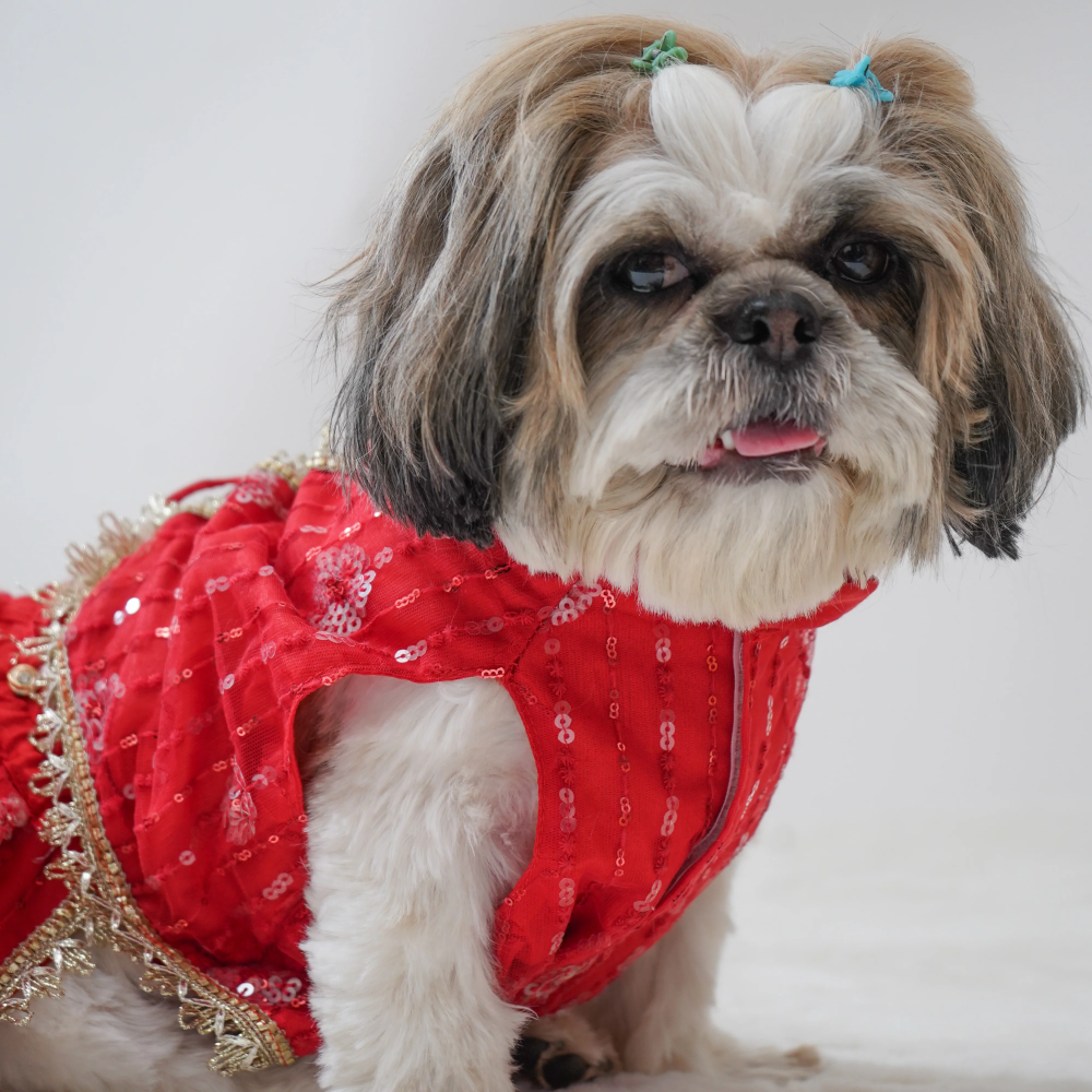 Pawgypets Net Lehenga for Dogs Red