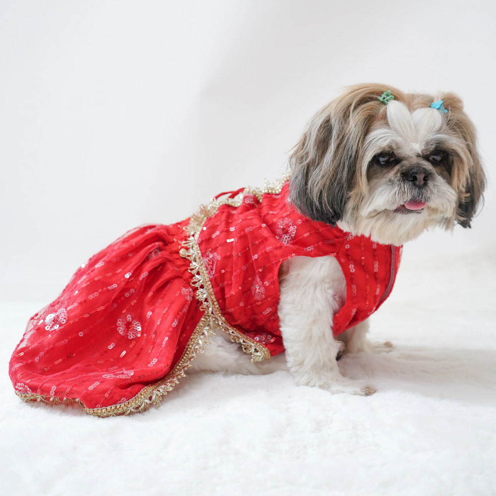 Pawgypets Net Lehenga for Dogs Red