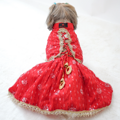 Pawgypets Net Lehenga for Dogs Red