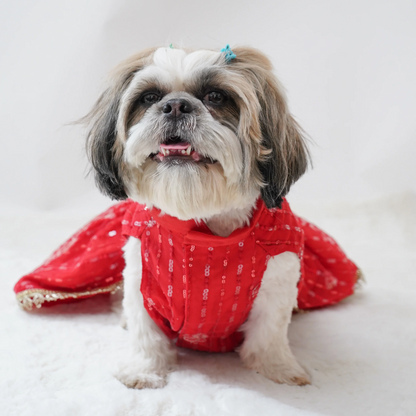 Pawgypets Net Lehenga for Dogs Red