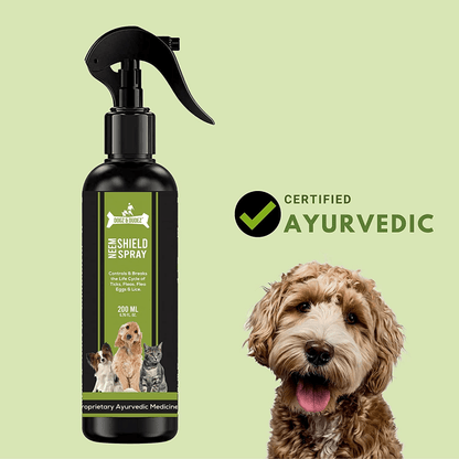 DOGZ  DUDEZ Natural Neem Shield Tick  Flea Repellent Spray for Dogs and Cats