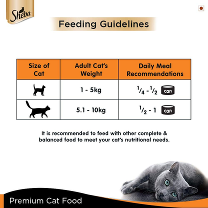 Sheba Complete Nutrition Succulent Chicken Breast In Gravy Cat Wet Food and Chicken Flavour Irresistible Cat Dry Food Combo