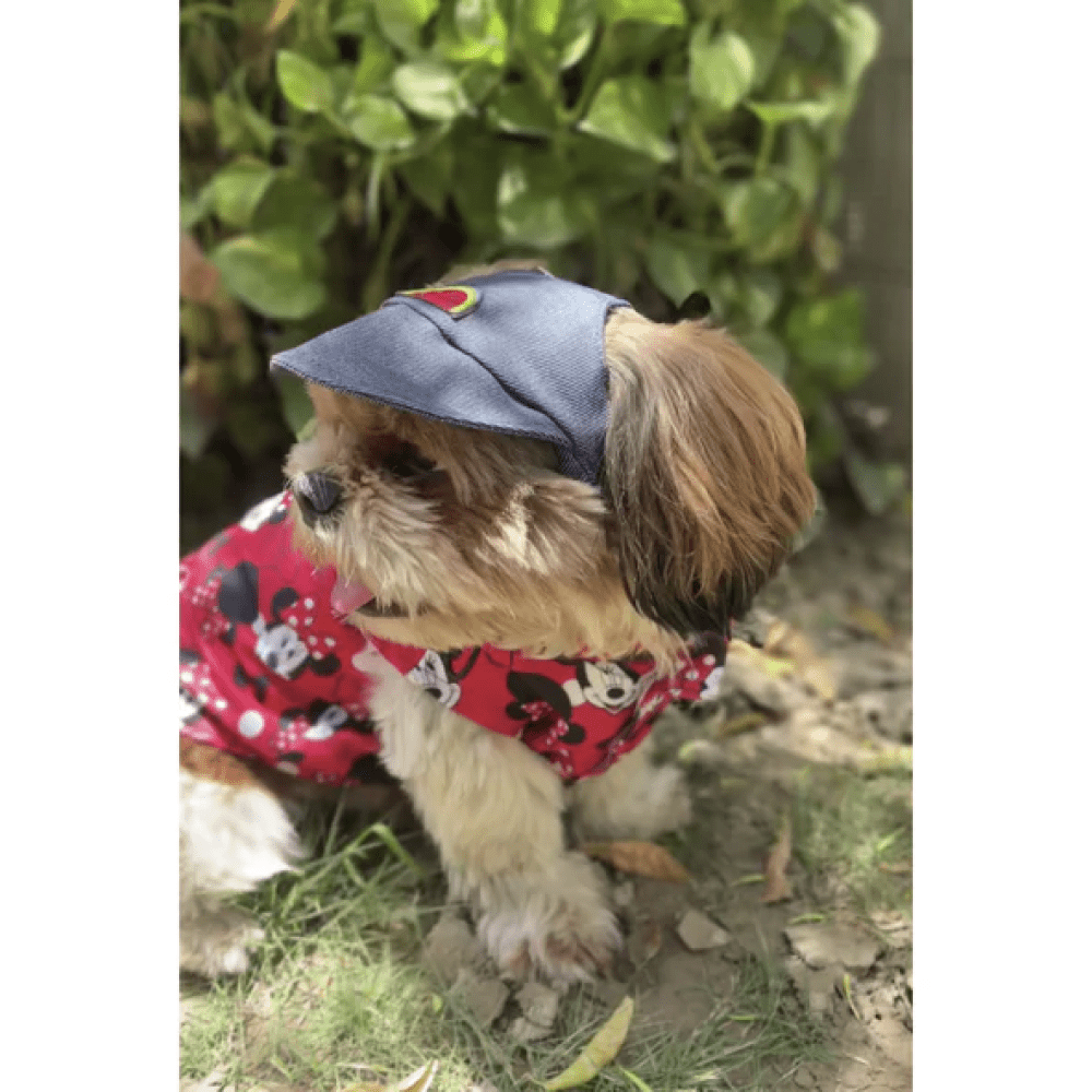 Pawgypets Cap for Dogs and Cats Denim