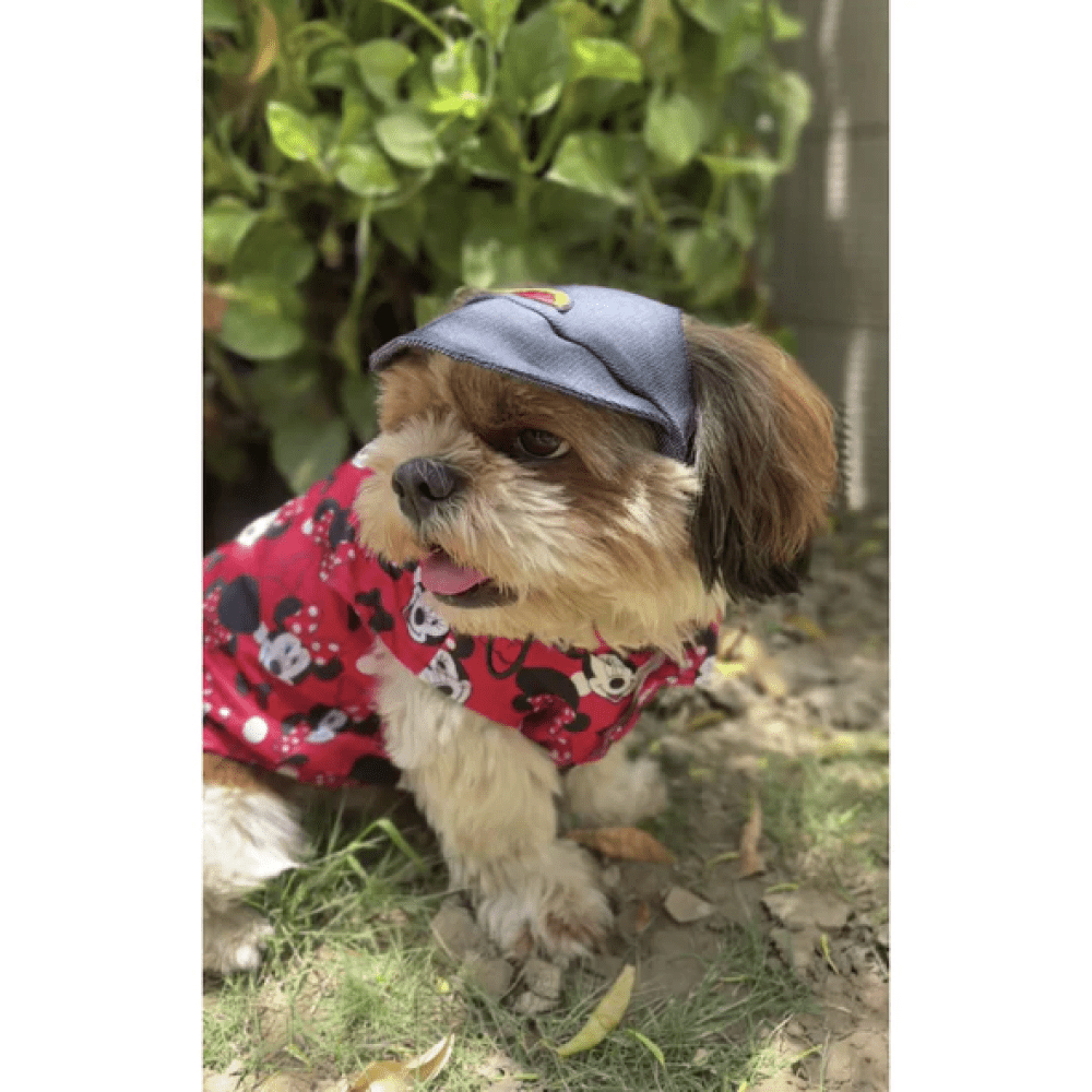 Pawgypets Cap for Dogs and Cats Denim