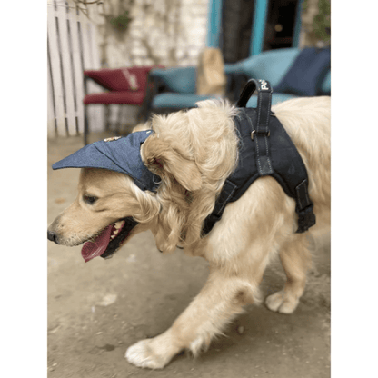 Pawgypets Cap for Dogs and Cats Denim