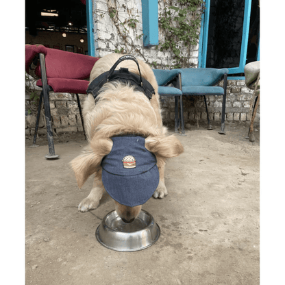 Pawgypets Cap for Dogs and Cats Denim