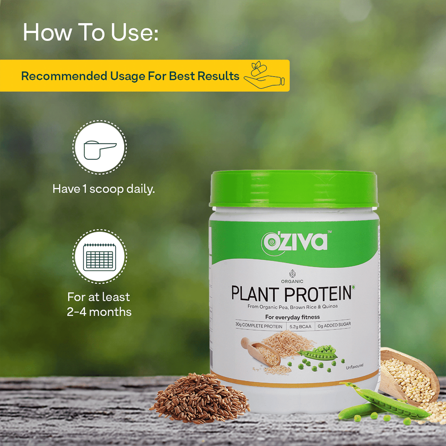 Oziva Organic Plant Protein Powder  30g Vegan Protein  Unflavored  Lean Muscle  Improve Metabolism