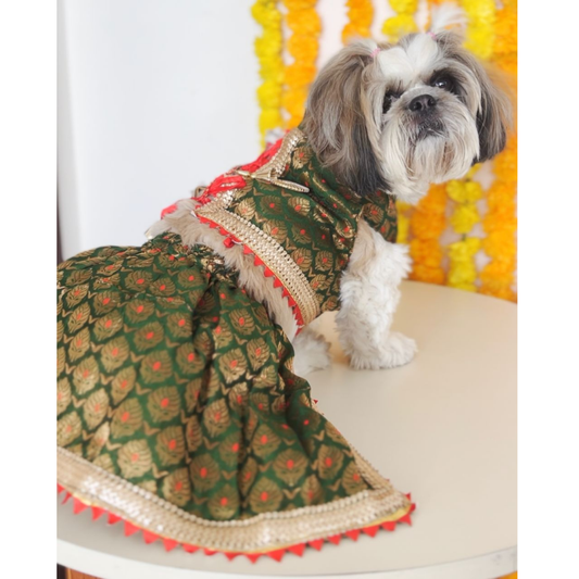 Pawgypets Brocade Lehenga for Dogs and Cats Green