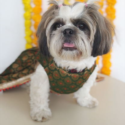 Pawgypets Brocade Lehenga for Dogs and Cats Green