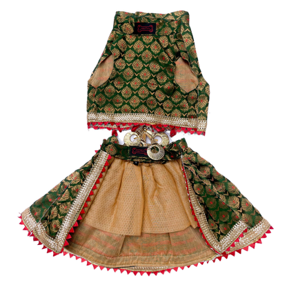 Pawgypets Brocade Lehenga for Dogs and Cats Green