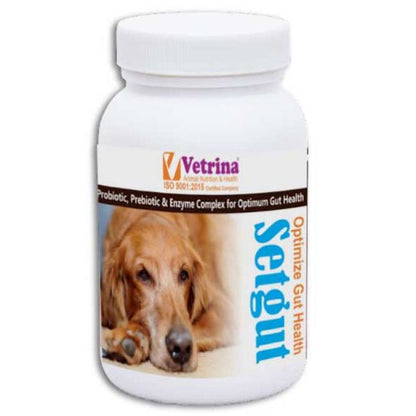 Vetrina Setgut Powder for Dogs and Cats 50g