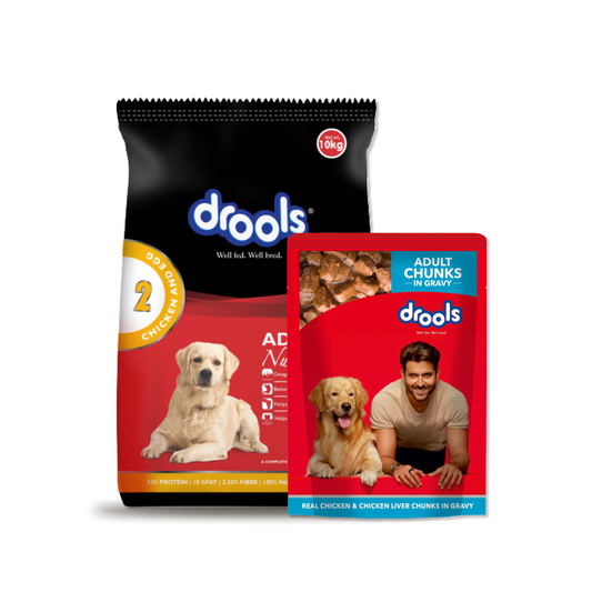 Drools Dog Meal Combo