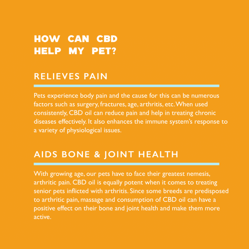 Qurist CBD Oil for Small Dogs and Cats