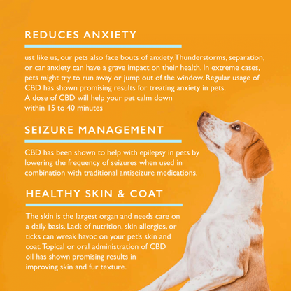 Qurist CBD Oil for Small Dogs and Cats